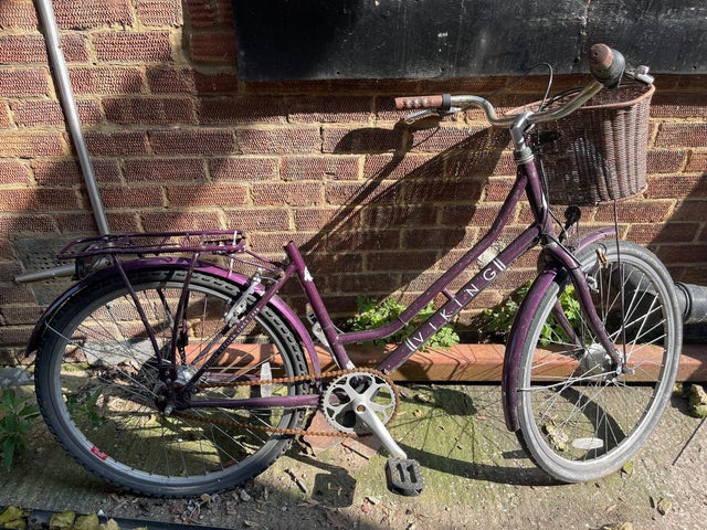 Viking bike
