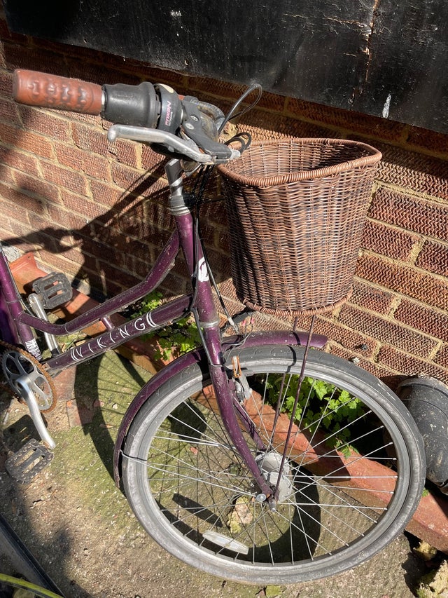 Viking bike