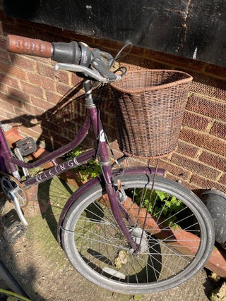 Viking bike