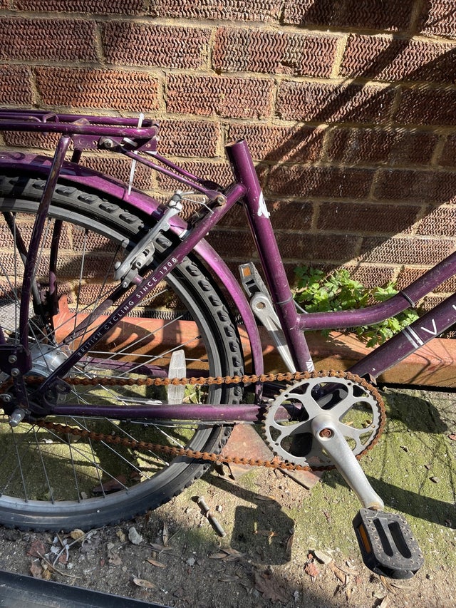 Viking bike
