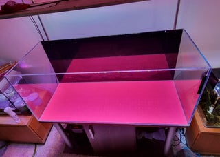 300l fishtank
