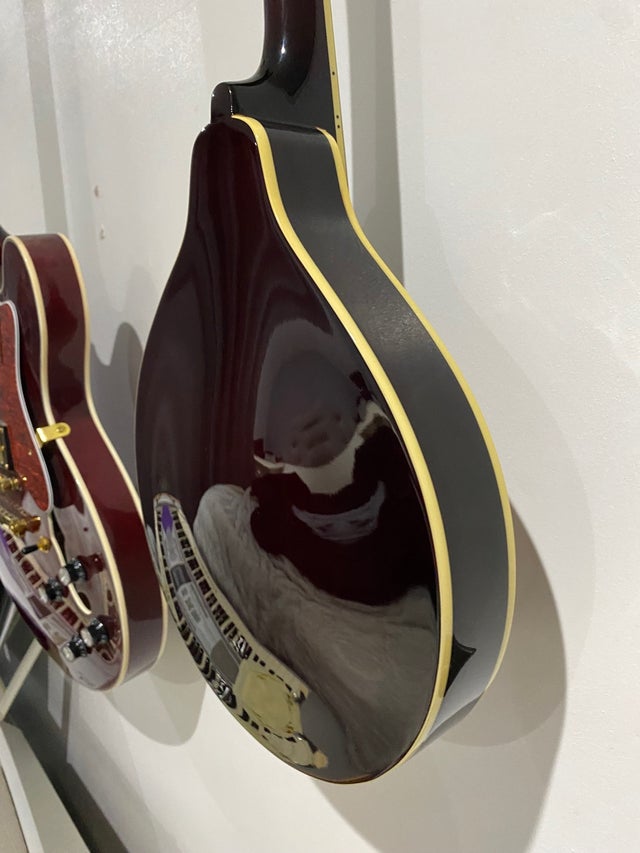 Mandolins