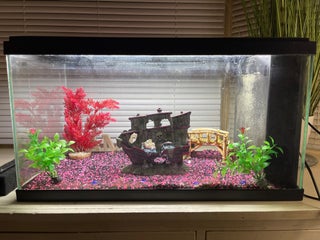 Ciano 2ft fish tank