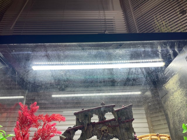 Ciano 2ft fish tank