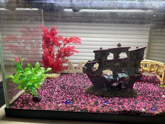 Ciano 2ft fish tank