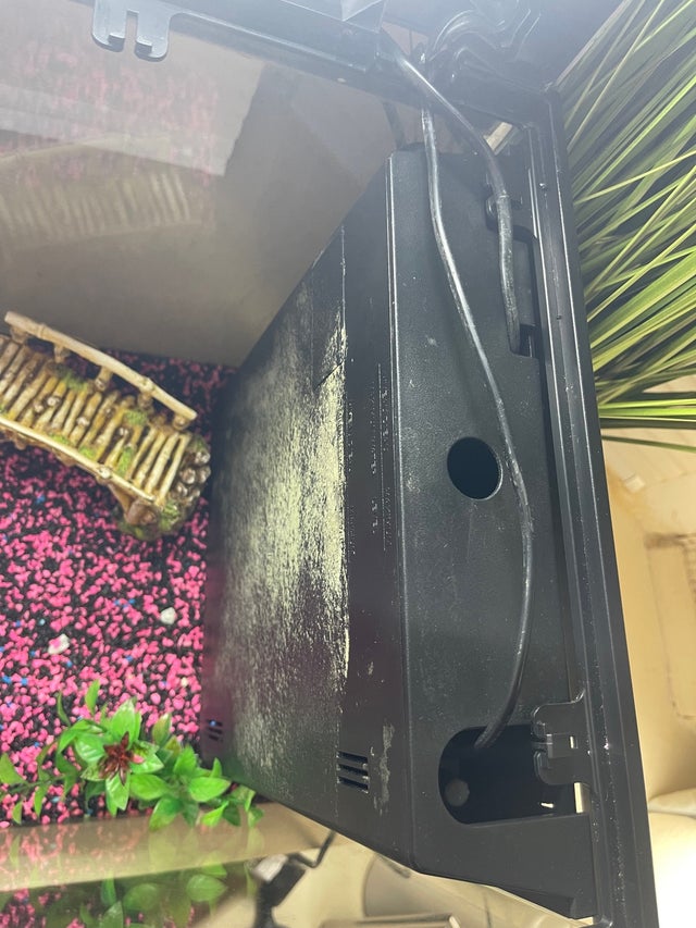 Ciano 2ft fish tank