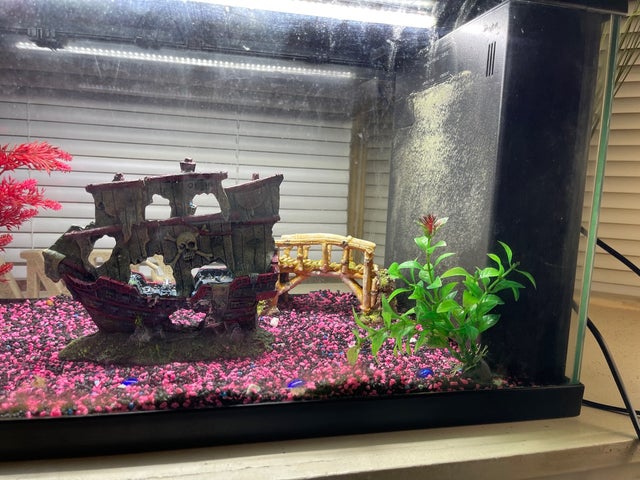 Ciano 2ft fish tank